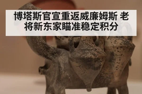 博塔斯官宣重返威廉姆斯 老将新东家瞄准稳定积分